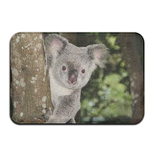 Eastery Australien Koala Bär Outdoor Teppich Gummimatte Einstieg Vorne Fußmatten Veranda Einfacher Stil Garage Groß Flow rutschfest Standard Teppich Home 60 X 40 cm (Color : Colour, Size : Size)