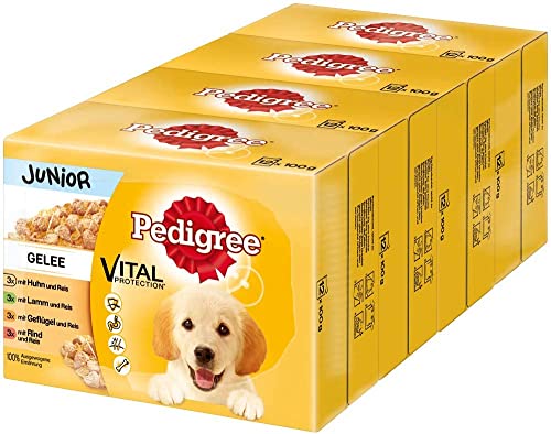 PEDIGREE Portionsbeutel Multipack Junior 4 Varietäten in Gelee mit Huhn, Rind+Leber, Geflügel, Lamm+Leber 4 x 12 x 100g