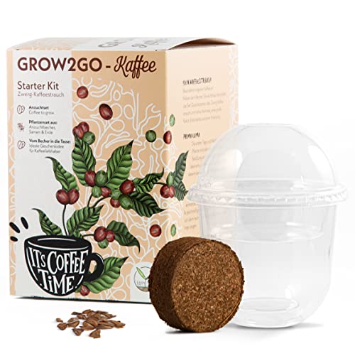 GROW2GO Dein eigener Zwergkaffee Strauch zum selber Pflanzen - Immergrüner Kaffeestrauch mit wunderschönen Blüten für die Anzucht von eigenen Kaffeebohnen (Anzuchtset)