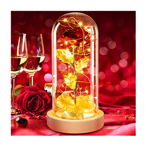 Die Schöne und Das Biest Rose Geschenk Kit,Rose im Glas,Ewige Rose und LED-Licht Künstliche Blumen Rose Geschenke zum Valentinstag,Muttertag, Weihnachtstag,Jahrestag
