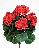 Geranie 38cm rot -ohne Topf- ZF Kunstpflanzen künstliche Blumen Pflanzen Kunstblumen … (rot)
