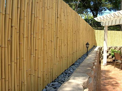 DE-COmmerce Hochwertiger Garten Zaun Sichtschutz Bambus ATY Nature I Garten, Terrasse, Balkon Sichtschutz Bambus mit geschlossenen Rohren I Windschutz Bambus (HxB) 180 cm x 180 cm