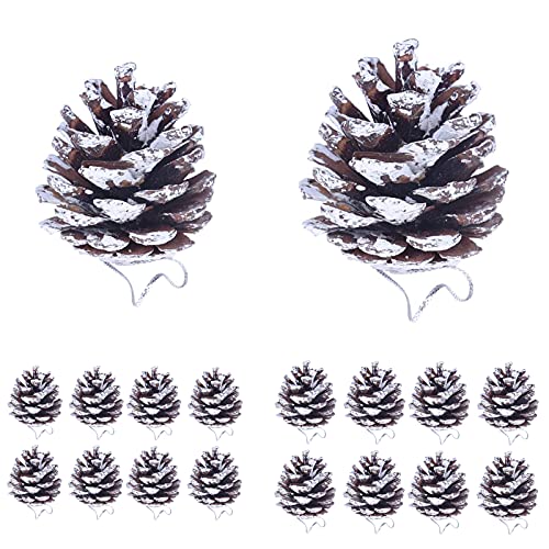 Jodsen Tannenzapfen, 18 Stück Mini Tannenzapfen Weihnachten Silber Schnee Hängen Tannenzapfen Natürliche Dekoration Tannenzapfen Set für Weihnachtsbaum Winter Weihnachtsfeier DIY Basteln