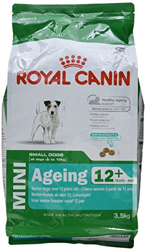 Royal Canin Hundefutter Mini Ageing +12, 3,5 kg, 1er Pack (1 x 3.5 kg)