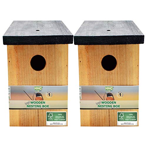 2 x Handy Home and Garden Druckbehandeltes Holzvogelhaus Für Wild- und Gartenvögel – Natürliche Hölzerne Vogelnistkästen - Hergestellt aus 100% FSC-Holz, Umweltfreundlich aus Nachhaltigen Wäldern