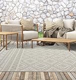 the carpet Calgary - robuster Teppich, Flachgewebe, modernes Design, ideal für Küche und Esszimmer, Vintage-Optik, Boho-Style, besonders flach, auch für den Außenbereich, Beige, 67 x 180 cm