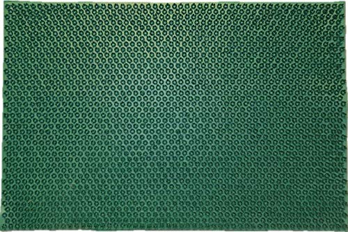 oKu-Tex Fußmatte Fußabtreter Gummimatte Schuhabstreifer gummi grasgrün grün wetterfest für außen Garten Balkon Veranda 40x60 cm