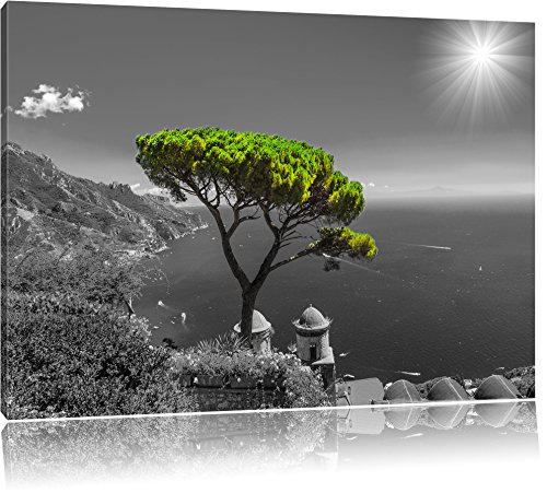 Mediteraner Baum am Mittelmeer schwarz/weiß Format: 120x80 auf Leinwand, XXL riesige Bilder fertig gerahmt mit Keilrahmen, Kunstdruck auf Wandbild mit Rahmen, günstiger als Gemälde oder Ölbild, kein Poster oder Plakat
