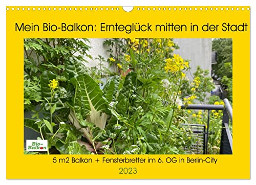 Mein Bio-Balkon: Ernteglück mitten in der Stadt (Wandkalender 2023 DIN A3 quer), Calvendo Monatskalender