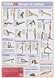 Poster Yoga I Übungen für Anfänger: Yoga-Grundübungen immer im Blick mit dem Yoga-Poster. Tägliche Yoga-Übungen halten fit und schlank.