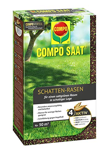 Compo SAAT Schatten-Rasen, Spezielle Rasensaat-Mischung mit wirkaktivem Keimbeschleuniger, 1 kg, 50 m²