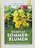 Bildatlas Sommerblumen: Beet-, Balkon- und Herbstzauberpflanzen (Bildatlanten)