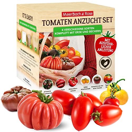Tomaten Anzuchtset mit 6 leckeren Sorten, Anzucht Erde, Töpfen und Anleitung für die perfekte Tomatenanzucht