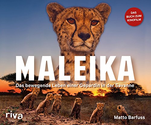 Maleika: Das bewegende Leben einer Gepardin in der Savanne