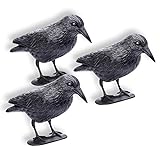 Schramm® 3 Stück Sitzende Krähen schwarz Taubenschreck Vogelschreck Kunststoff Rabe Taubenabwehr Vogelabwehr 3er Set Vogelscheuche