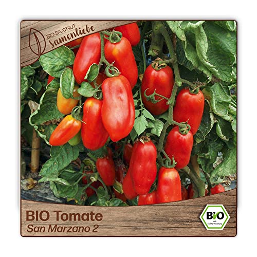 Samenliebe BIO Tomaten Samen alte Sorte San Marzano 2 italienische Tomate längliche Romatomate rot 10 Samen samenfestes Gemüse Saatgut für Gewächshaus Freiland und Balkon BIO Gemüsesamen