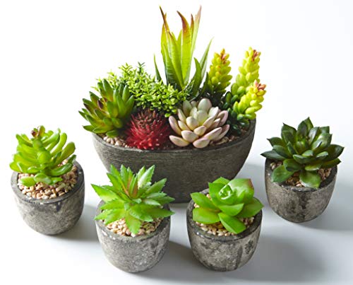 Jobary Set mit 5 künstlichen Sukkulenten mit Töpfen (einschließlich 10 Pflanzen), Bunten und Dekorativen Fälschung Sukkulentenmit Steinen, ideal für Zuhause, Büro und Dekor im Freien