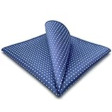 S&W SHLAX&WING Punkte Herren Krawatte Blau Matching Einstecktücher Only