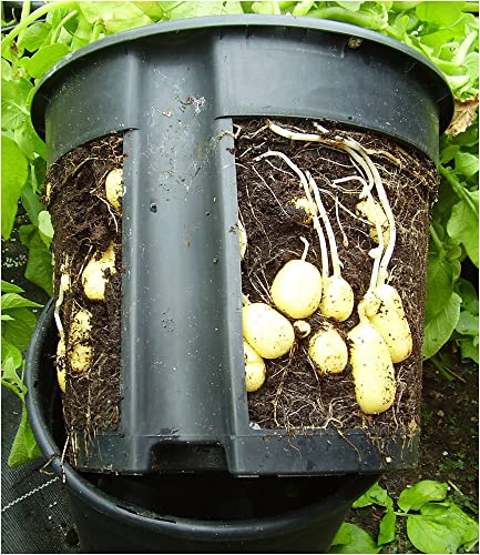 PotatoPot® Kartoffel-Pflanztopf, Kübel für Pflanzkartoffeln auf Balkon & Terrasse