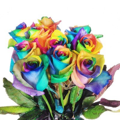 Bunte Blumen: 10 echte Regenbogen Rosen - Langstielig - Vasenfertig - Frische Rosen von Rosenbote