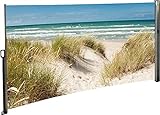 Seitenmarkise Sichtschutz Fotodruck Strand Düne Meer Ostsee Windschutz rechts 160x300 cm