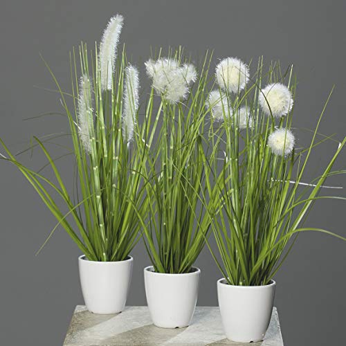 mucplants Kunstpflanze Gras im weißen Topf 3 Stück Höhe 38cm Grün/Creme Kunstgras Ziergras Tischdekoration