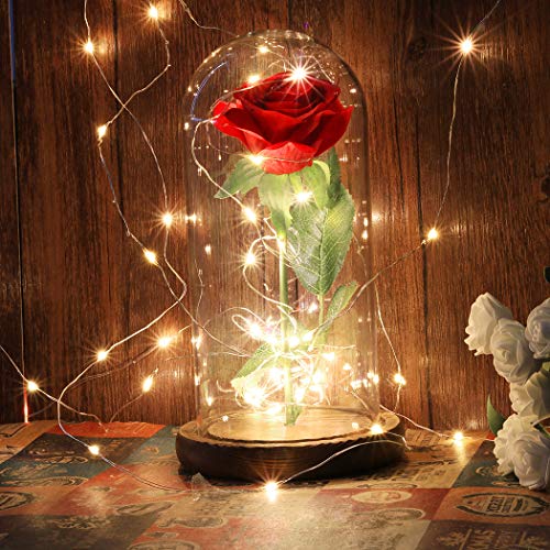 FunPa Rose im Glas, Ewige Rose im Glas Schöne und das Biest LED Künstliche Rose Blumen Konservierte Rose LED Lichterketten Romantisch Geschenk zum Geburtstag Jahrestag Haus Weihnachten Dekoration