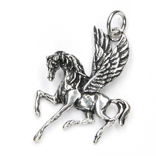 Drachensilber Pegasus Anhänger Silber mystischer Kettenanhänger geflügeltes Pferd Schmuckanhänger Frauen Larp Fantasy
