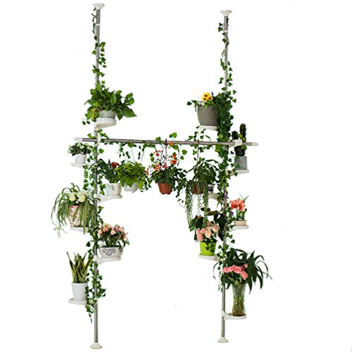 BAOYOUNI Innen Teleskop Blumenregal Blumenständer aus Metall Doppelte Spannregal Pflanzenständer Garten oder Balkon Pflanzenregal Ausstellungsstand mit 12 Schale für Hängend Pflanzen und Kleidung