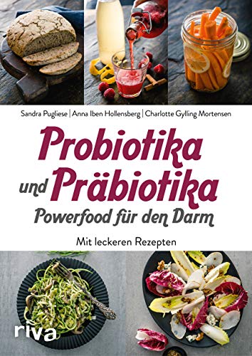Probiotika und Präbiotika – Powerfood für den Darm: Mit leckeren Rezepten