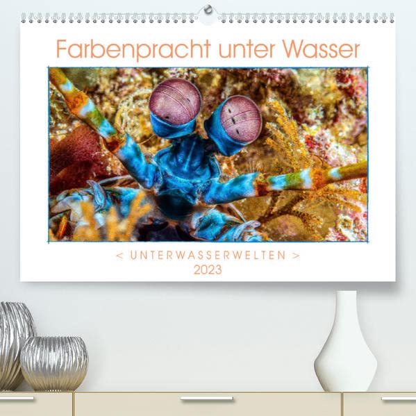 Farbenpracht unter Wasser (Premium, hochwertiger DIN A2 Wandkalender 2023, Kunstdruck in Hochglanz): Ein Kalender mir farbstarken und ausdrucksvollen ... (Monatskalender, 14 Seiten ) (CALVENDO Tiere)