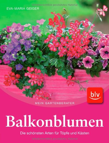 Balkonblumen: Die schönsten Arten für Töpfe und Kästen