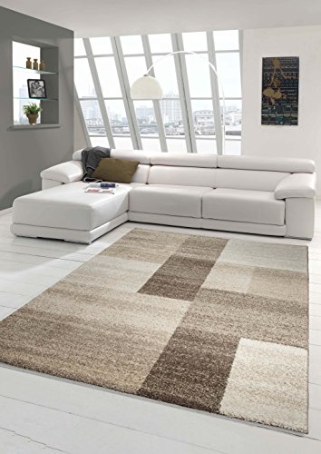 Designer Teppich Moderner Teppich Wohnzimmer Teppich Kurzflor Teppich Barock Design Meliert Braun Beige Größe 160x230 cm