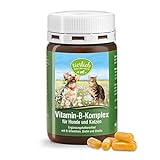 Sanct Bernhard Vitamin-B-Komplex-Hunde-120 Kapseln, 1er Pack (1 x 48 g)