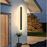 Lange Villa Wandleuchte Schwarze Wasserdicht Ip65 Aluminium Acryl Außen LED Wandleuchte für Gärten, Terrassen,Schlafzimmer Wohnzimmer Innen,30cm/12w,Warm light