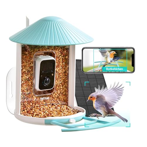 BIRDFY Vogelfutterspender mit Kamera, Vogelhaus mit Kamera, Futterstationen für Wildvögel, Vogelfutterstantion Video Auto Aufnehmen, Vogelhäuschen Kamera mit KI Erkennung Vogelarten (Birdfy KI+Solar)
