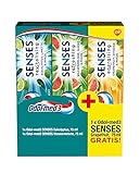 Odol-med 3 Senses Eukalyptus + Senses Wassermelone + Senses Grapefruit gratis, 3 x 75ml