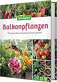 Balkonpflanzen: Pflanzenporträts und kreative Gestaltungsideen