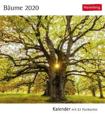 Postkartenkalender Bäume - Kalender 2020 - Harenberg-Verlag - mit 53 heraustrennbaren Postkarten - 16 cm x 17,5 cm