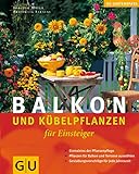 Balkon- und Kübelpflanzen für Einsteiger (GU Altproduktion HHG)