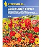 Kiepenkerl Blumen-Mix 'Feuerzauber', 1 Tüte Samen