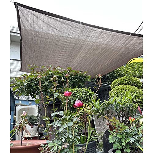 DLLY Schattiernetz, 1,5x3/2x4m Hof-/Balkon-sonnensegel, 85% Uv-Schutz Schatten Tuch, Sonnenschutz-schattennetzabdeckung Für Gartenmöbel, Braun,1x1m(3 * 3ft)