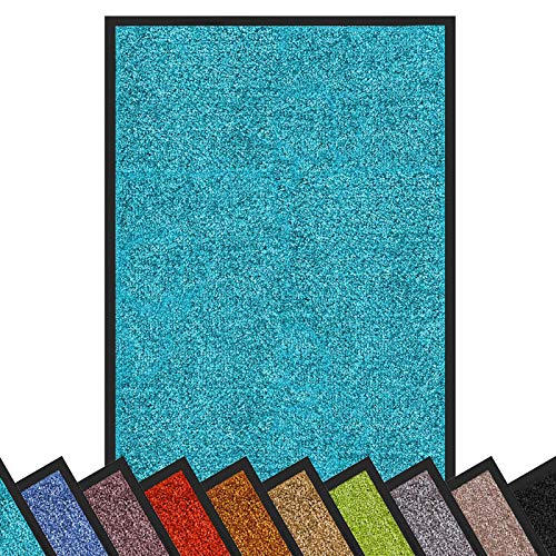 Floordirekt Schmutzfangmatte Rhine | waschbare & leistungsstarke Fußmatte | Sauberlaufmatte mit Rutschfester Rückseite | Türmatte in vielen Größen & Farben (Türkis, 60 cm x 90 cm)