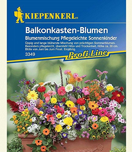 Balkonkasten-Blumenmix Pflegeleichte Sonnenkinder,1 Portion