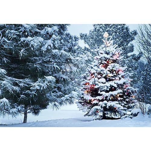 150x120cm Winter Backdrop Winter Wald Schnee Landschaft Fotografie Hintergrund Weihnachten Natürliche Schneelandschaft Fotografie Hintergrund Studio Portrait Photo Booth Prop