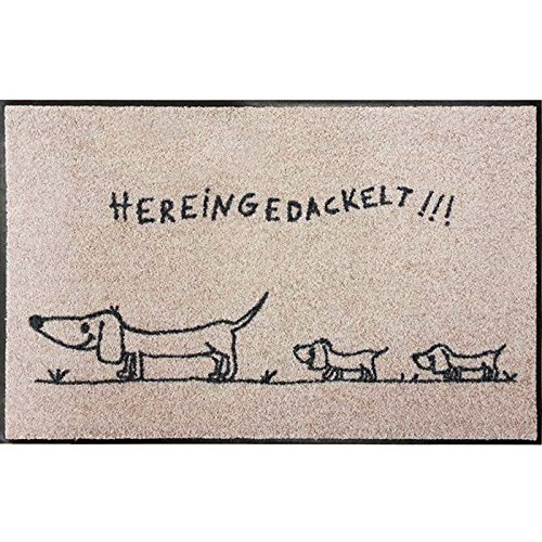 Salonloewe Fußmatte waschbar Hereingedackelt Family 50x75 cm beige-anthrazit mit Motiv Dackel Schmutzfangmatte Fußabtreter Sauberlaufmatte, Türvorleger, Hunde