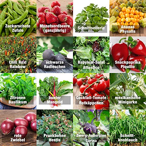 Prademir – Gemüsesamen Set “Indoor-Mix” aus 16 Sorten Premium Gemüse Samen – samenfestes Gemüse Saatgut für Balkon, Gewächshaus, Wohnung, Terrasse & Fensterbank – nahezu 100% Keimrate