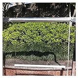 XJJUN Transparente Rollos, 0,5 Mm Dick Wasserdichter PVC-Kunststoff-Außenrollos Mit Zugperlen Türfenstertrennwand (Color : Klar, Size : 1.2x1.5m)