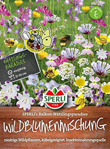 88025 Sperli Premium Blumenmischung Samen Nützlingswiese Balkon | Niedrigwachsend | Wildblumen | Blumenmischung Saatgut