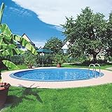 well2wellness® Sunny Pool 300x120 cm Rundbecken Set | Schwimmbecken | Relax Pool | Rundpool | Stahlwandpool | Komplettset | Innenhülle blau 0,6mm | PVC-Handlauf